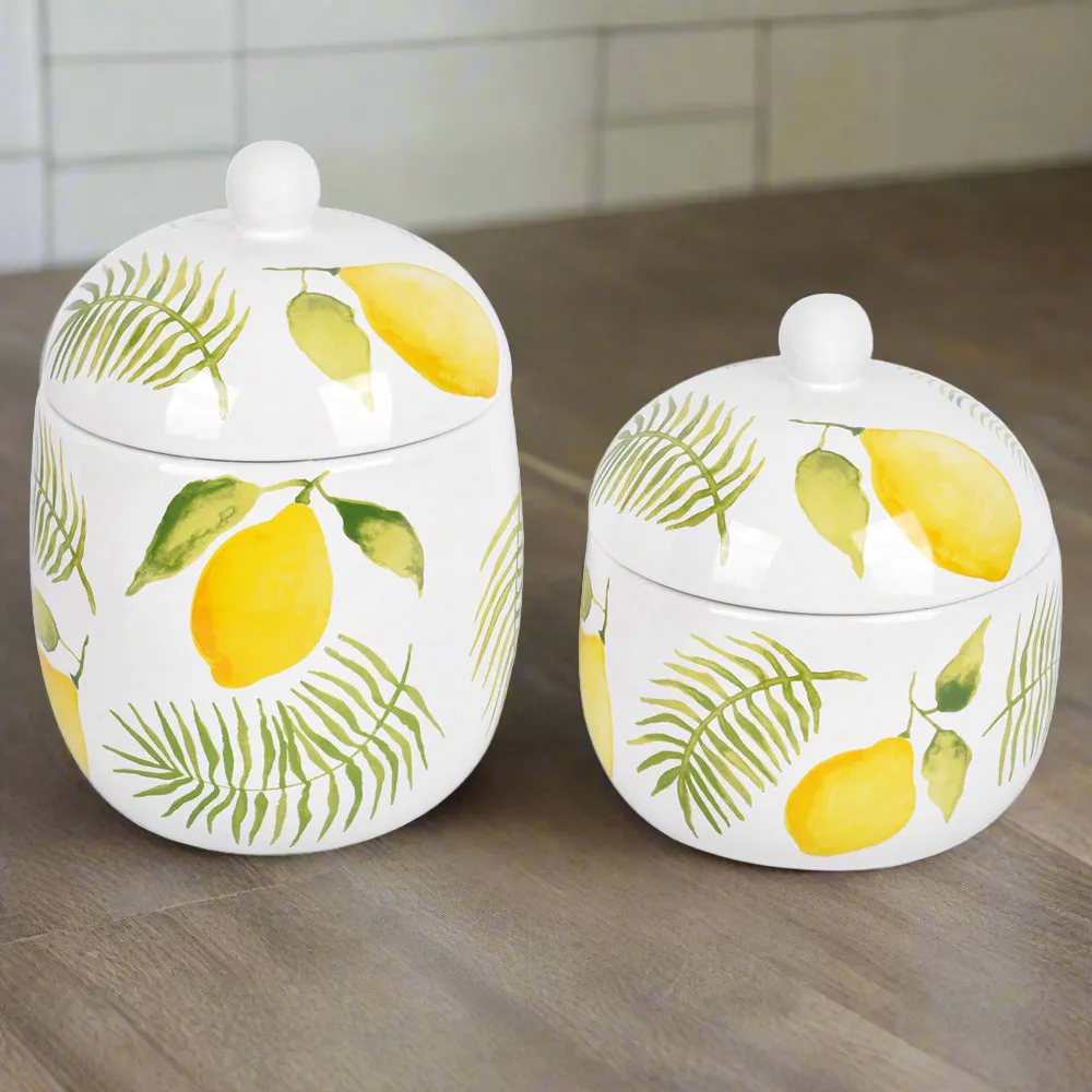 Countertop Storage Canisters, Set of 2