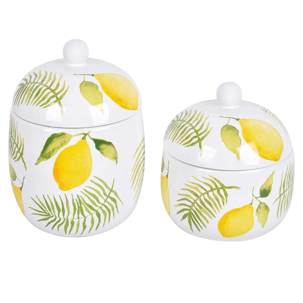 Countertop Storage Canisters, Set of 2